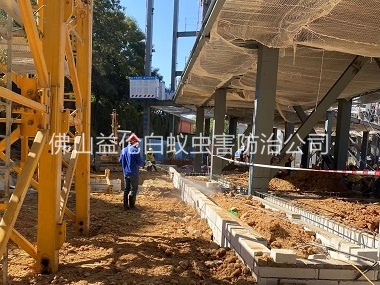 合水建房工程防白蚁