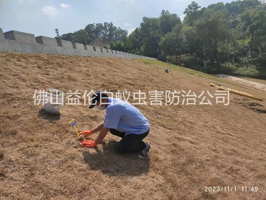 西安堤坝白蚁防治工程