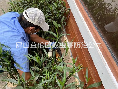 三洲园林绿化灭治白蚁工程