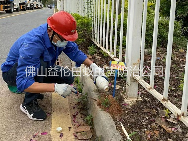 更合红火蚁防治工程