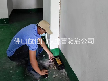 更合电房灭杀白蚁工程